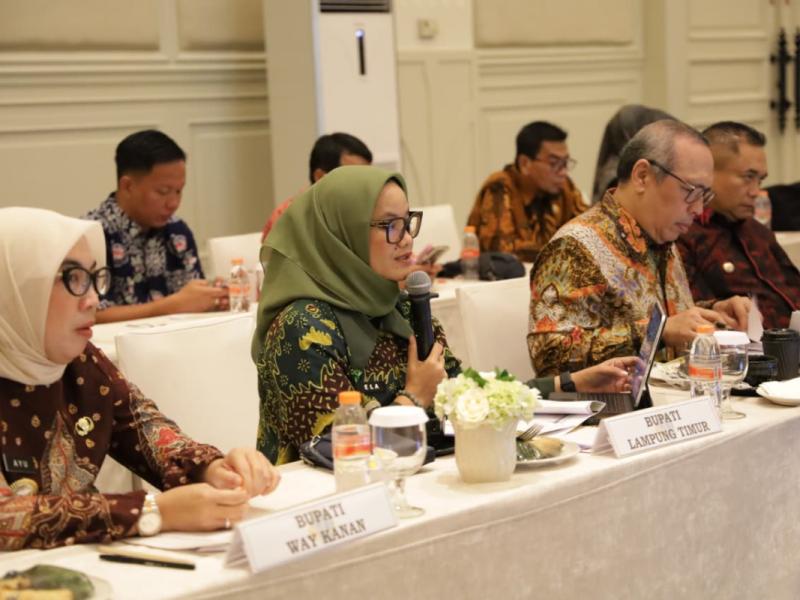 Bahas RTRW di Jakarta, Bupati Ela Tegaskan Arah Pembangunan Lampung Timur Harus Terukur dan Berkelanjutan